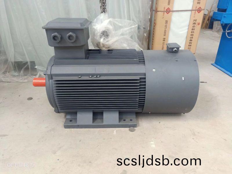 永(yong)磁(ci)電機(ji)